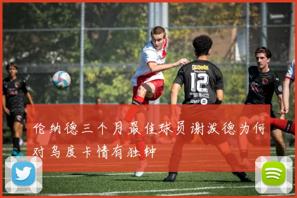 伦纳德三个月最佳球员谢泼德为何对乌度卡情有独钟