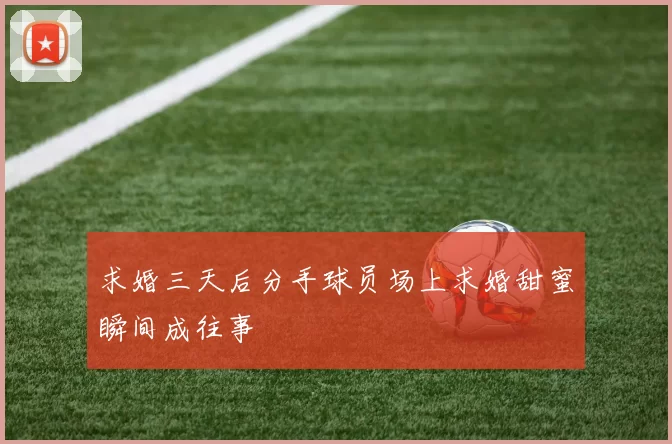 求婚三天后分手球员场上求婚甜蜜瞬间成往事